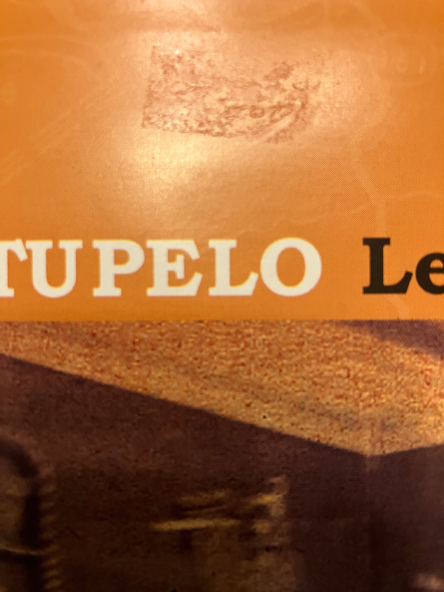 UNCLE TUPELO "Left in the Dark"