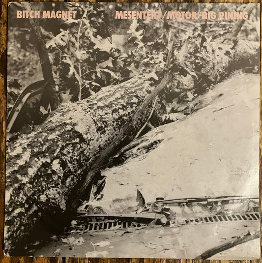 BITCH MAGNET "Mesentery / Motor / Big Pining"