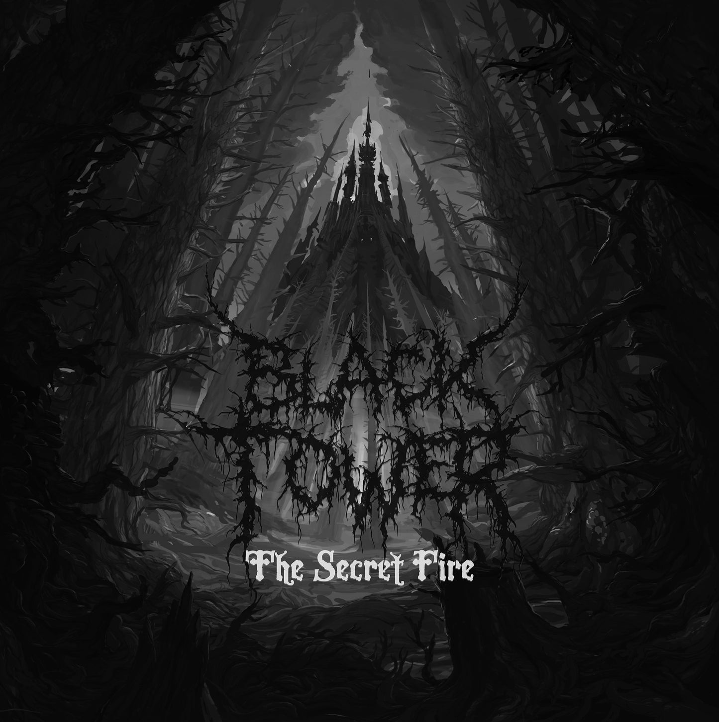 BLACK TOWER "The Secret Fire"