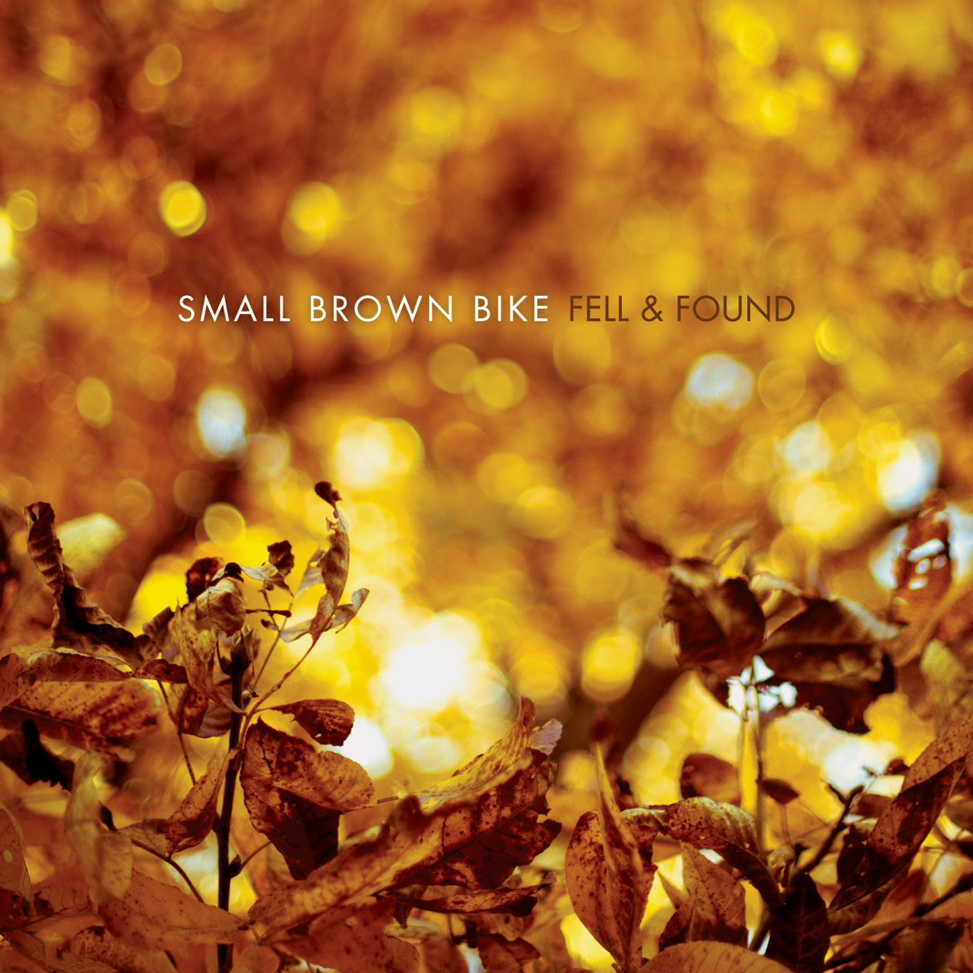 SMALL BROWN BIKE "Fell & Found"