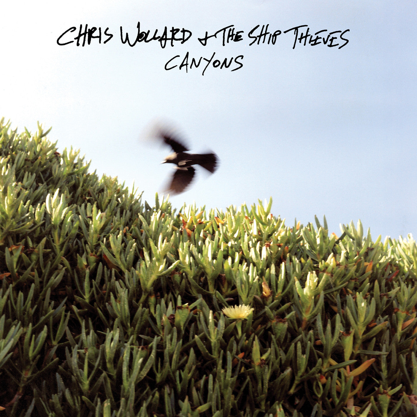 CHRIS WOLLARD & THE SHIP THIEVES "Canyons"