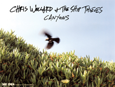 CHRIS WOLLARD & THE SHIP THIEVES "Canyons Cover Art"